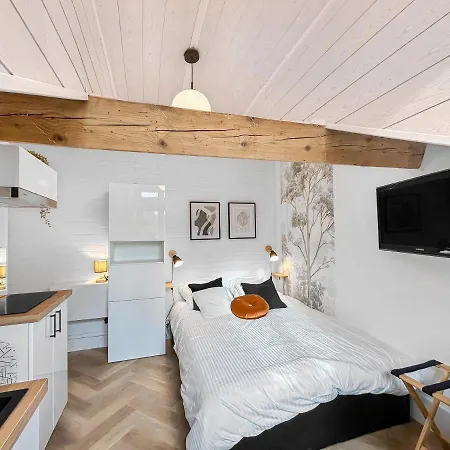 La Luminance Grenobloise Apartment